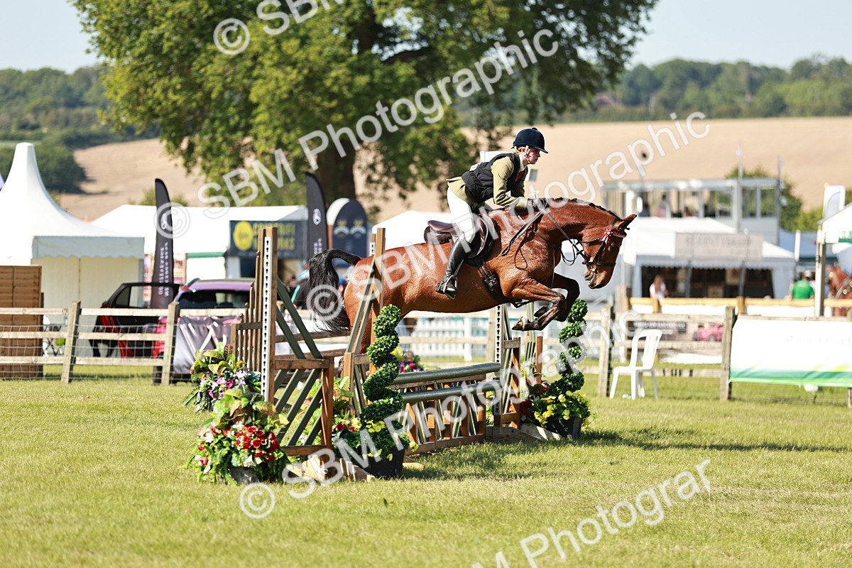 SBM_19126 - Class 115-116 - LIHS BSHA Rising Star Working Hunter & Show Horse