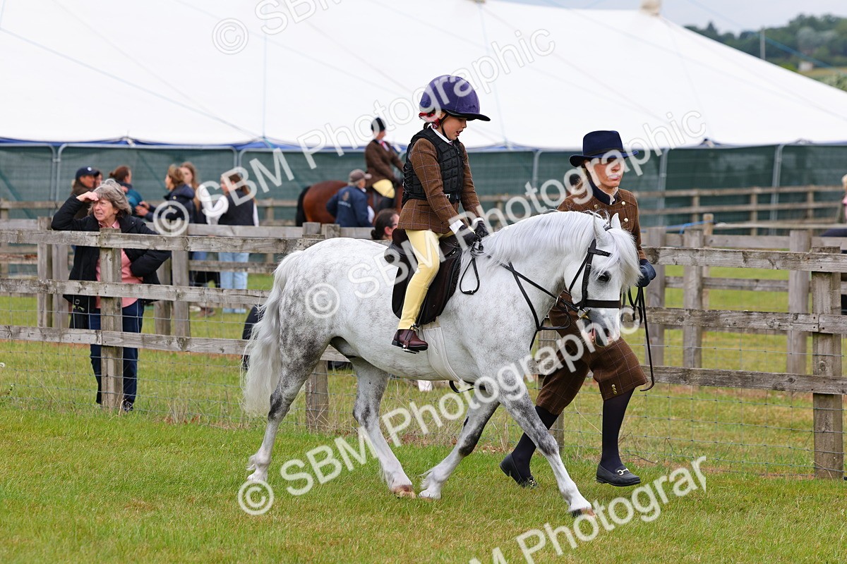 SBM_08095 - Class 42-43 - LIHS BSPS Heritage Working Sports Pony