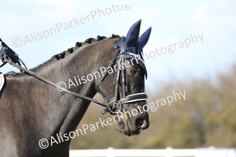 20260314-4954 - CT6 - Elementary 1