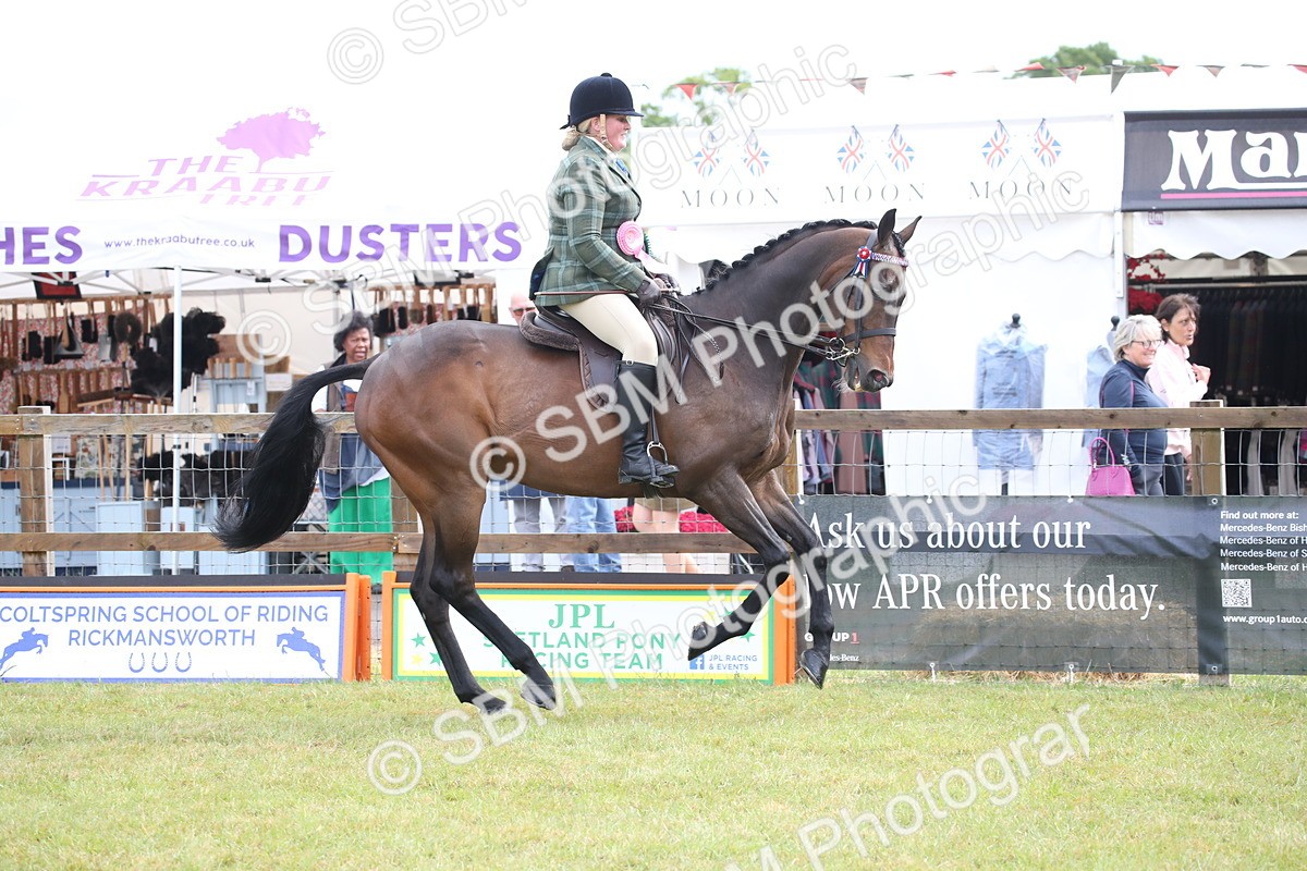 SBM_11492 - Class 94 - LIHS BSHA Racehorse to Showhorse