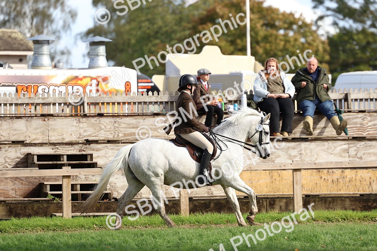 SBM_47771 - S28 - Veteran Ridden