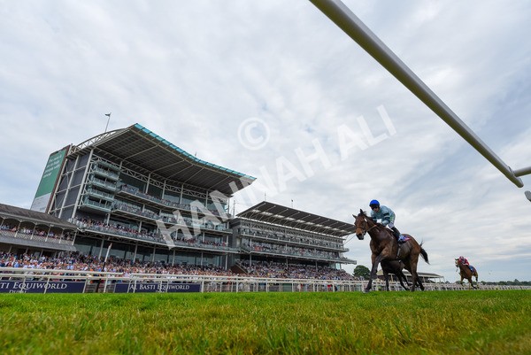 170623-Race 3-Quickthorn- - Race 3 3.05pm Sky Bet Race To The Ebor Grand Cup Stakes
