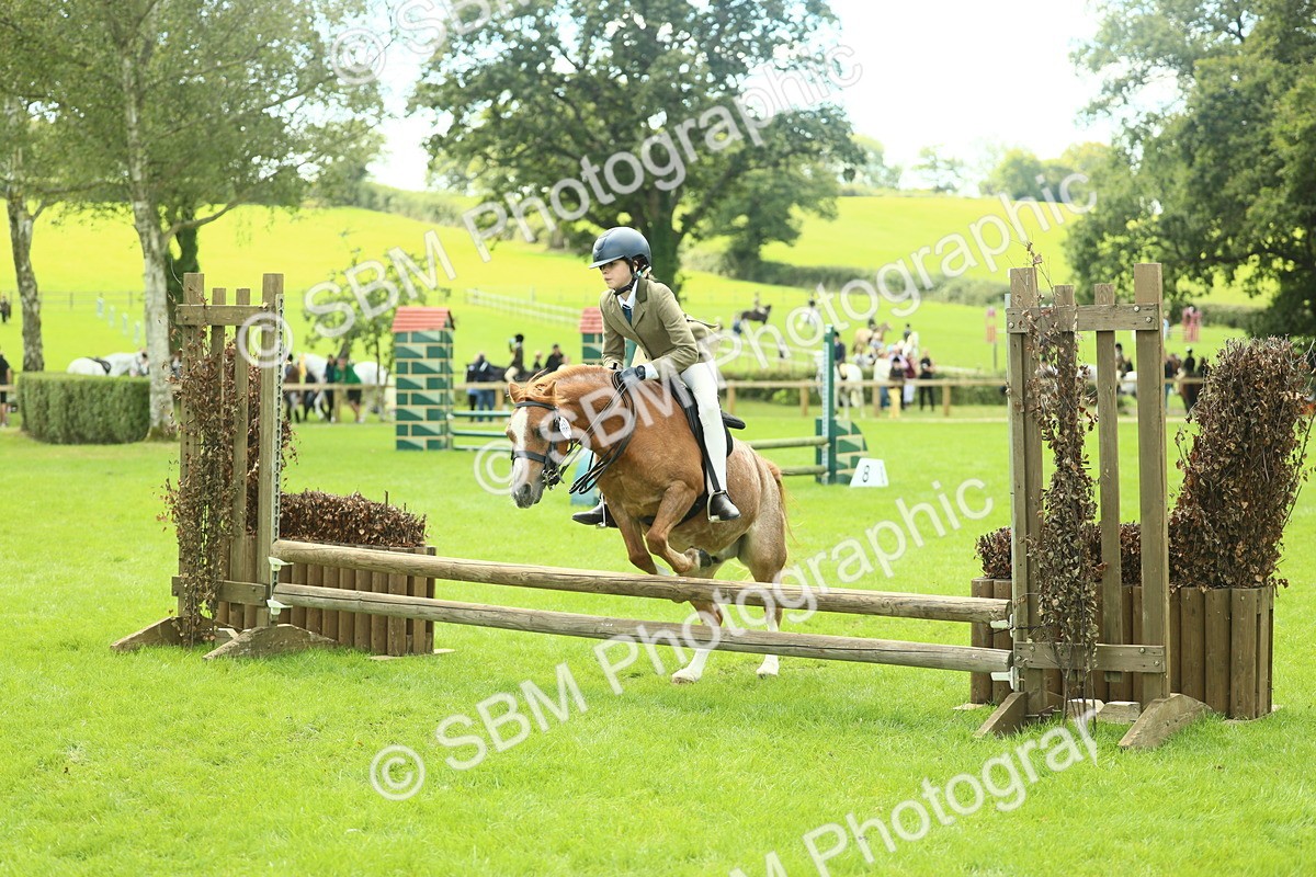 SBM_42733 - S30 - M&M Working hunter Pony