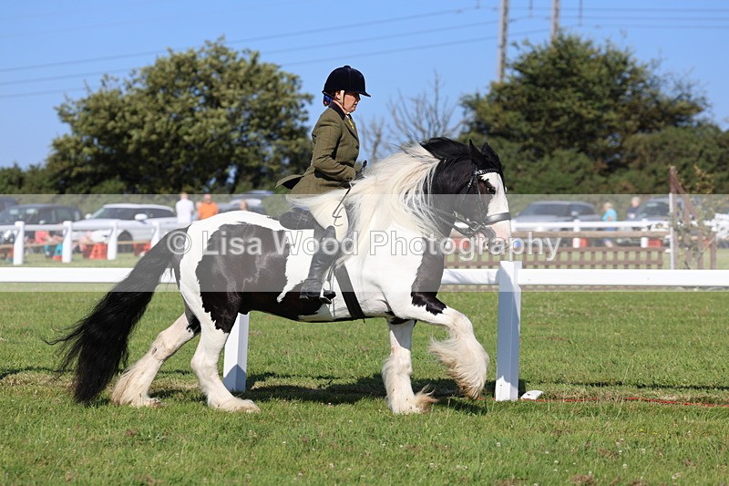 IMG_1488 - Class 30: Ridden Native/Trad Coloured Pony