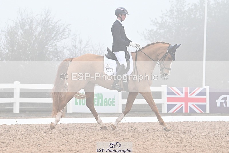 240217A-103250-01113 - 273-Tom.Carter-Newton.Dreamcatcher