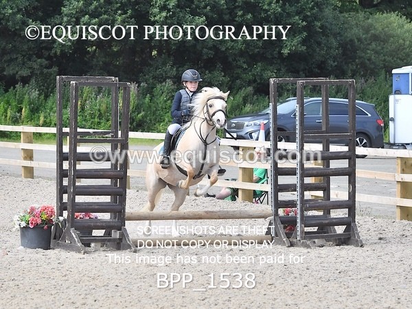 BPP_1538 - DERBY CLASS 3 - 40CM