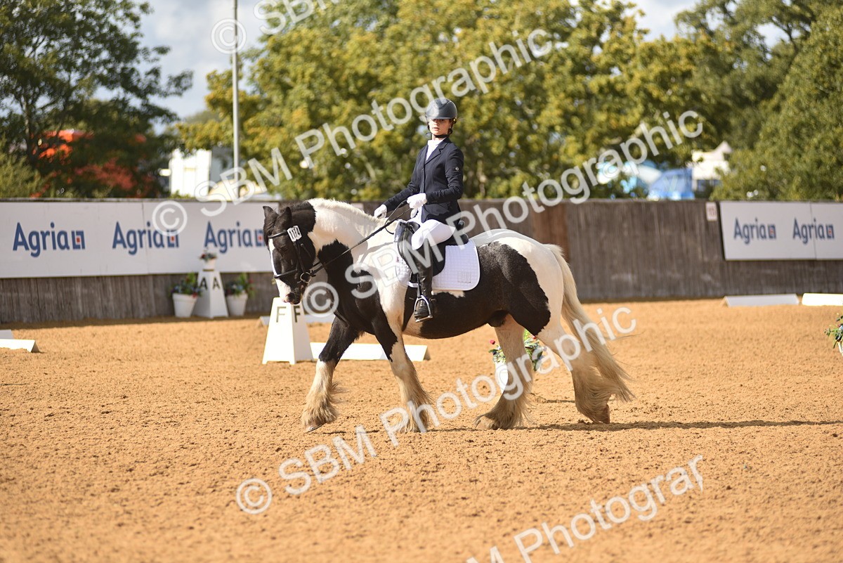 SBM_48845 - D22 - Junior Championship Intro 3
