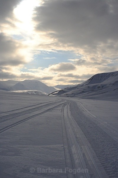 Tracks 2507 - Winter in the daylight