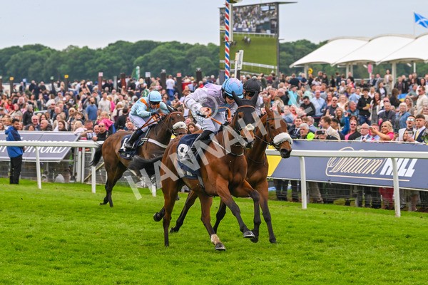 250524-Race 4-Term Of Endearment-3600 - Race 4 3.20pm William Hill Bronte Cup Fillies' Stakes