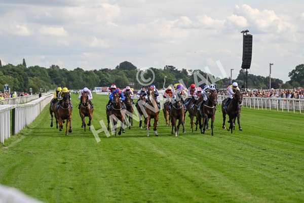 260724-Race 1-Craven-4332 - Race 1 5.30pm eventmasters.co.uk Handicap