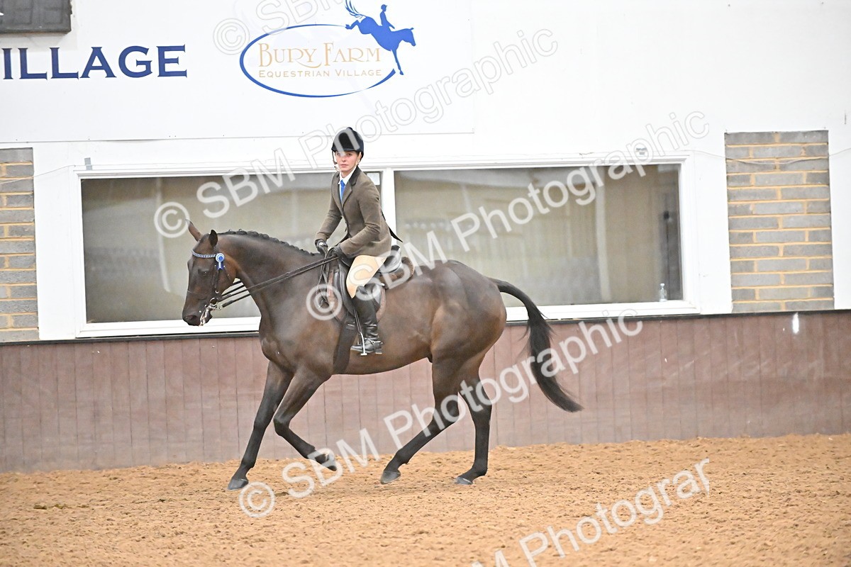 SBM_002387 - Class 22 - BSHA Ridden Hack & Riding Horse