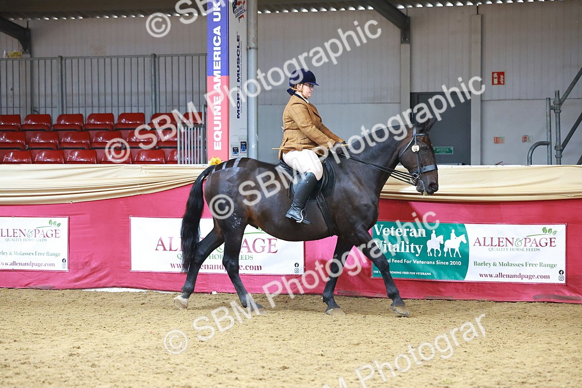SBM_09337 - Class 102 - HOYS Veteran Qualifier - Ridden Veteran