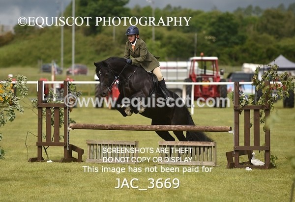 JAC_3669 - 75CM WORKING HUNTER