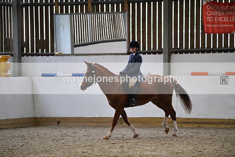 WJ5_7787 - Class 13 Ridden Part Breed