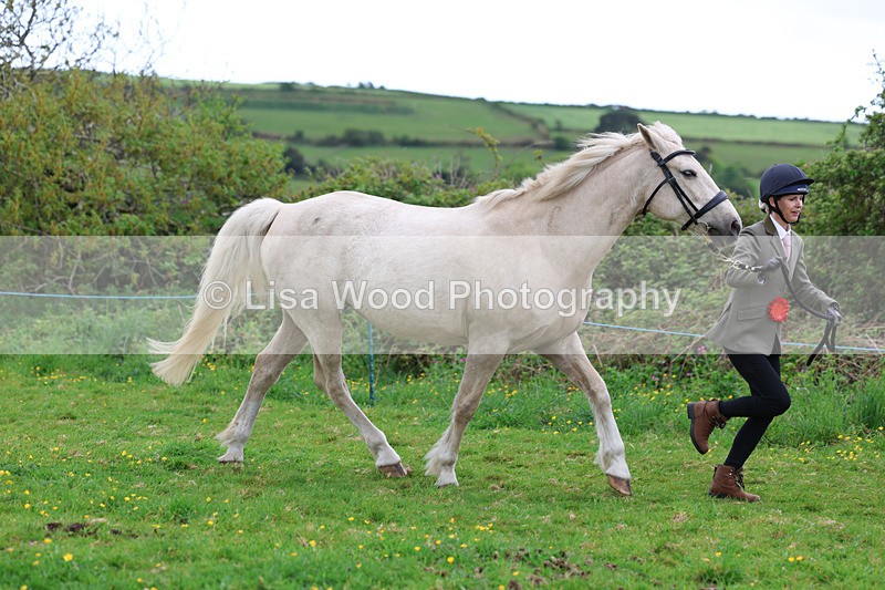 3E7A0756 - In Hand Championship