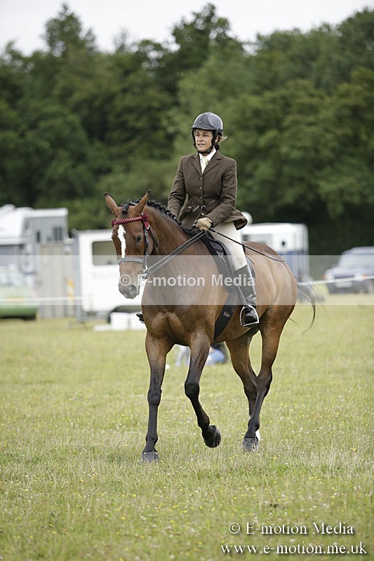 BVR160717-1017 - Ring 1 BVRC Show 16/07/17