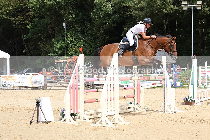 3E7A4278 - Class 8: Senior Foxhunter/1.20 open