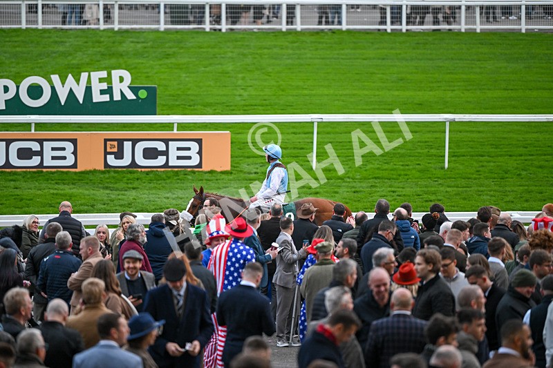 161124-Race 6-Hamsiyann-1496 - Race 6