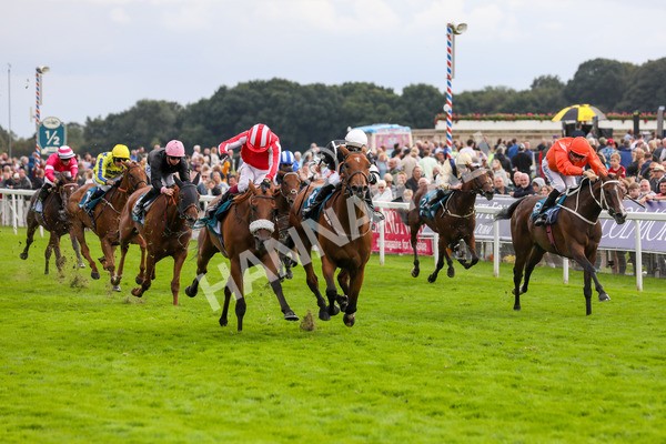 250823-Race 5-Reach-5906 - Race 5 4.10pm Assured Data Protection EBF Fillies' Handicap