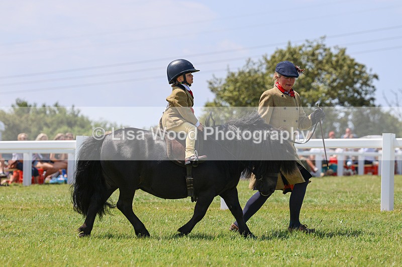 IMG_3029 - M&M Mini Ridden Championship
