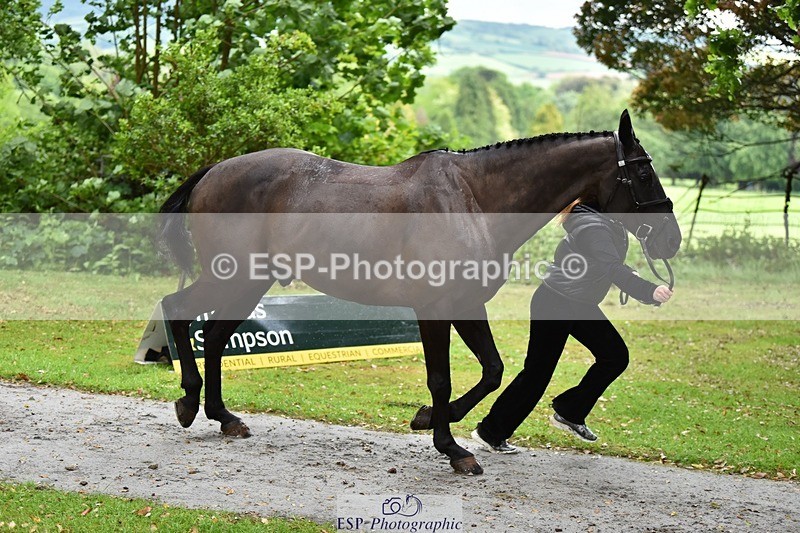 240522-155114-00533 - 101-MORELANDS_CASANOVA-Daisy_Bathe