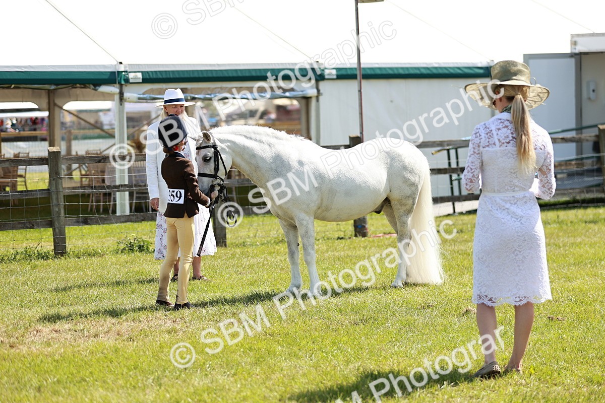 SBM_13570 - Class 108-109 - BSPS LIHS Open Gradle & Nursery Stakes