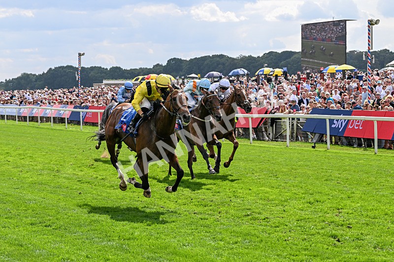 220826-Race 2-Infraad-9783 - Race 2 14.25pm Sky Bet Melrose Handicap