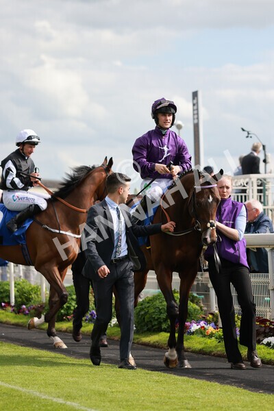 yr21052022r6-13 - Race 6: 4:42pm Yorkshire Regiment Stakes