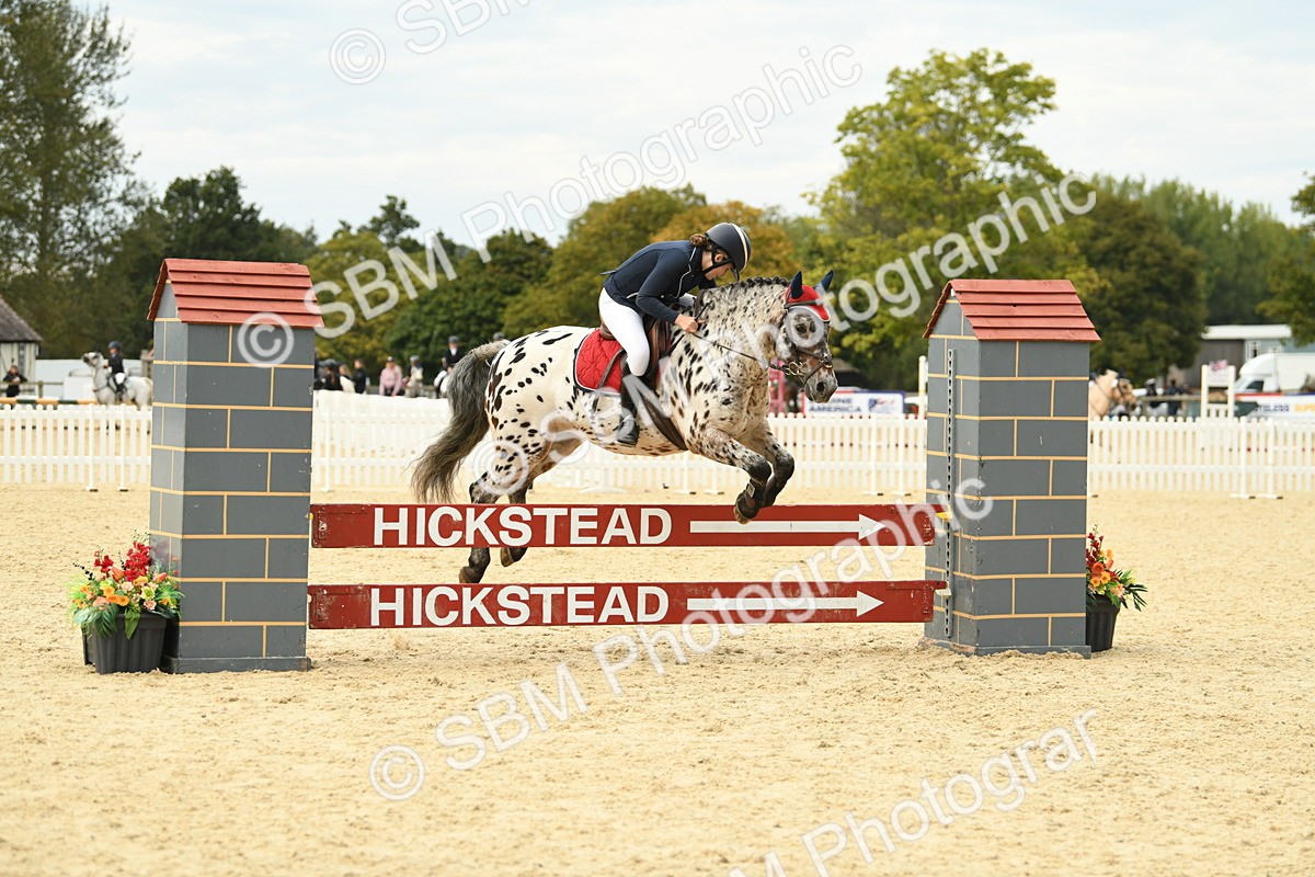 SBM_75675 - Supreme Championship