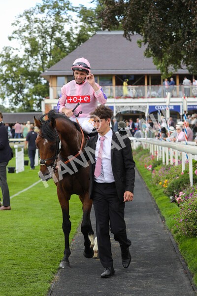 yr19082022r1-39 - Race 1 1.50pm Sky Bet Stakes