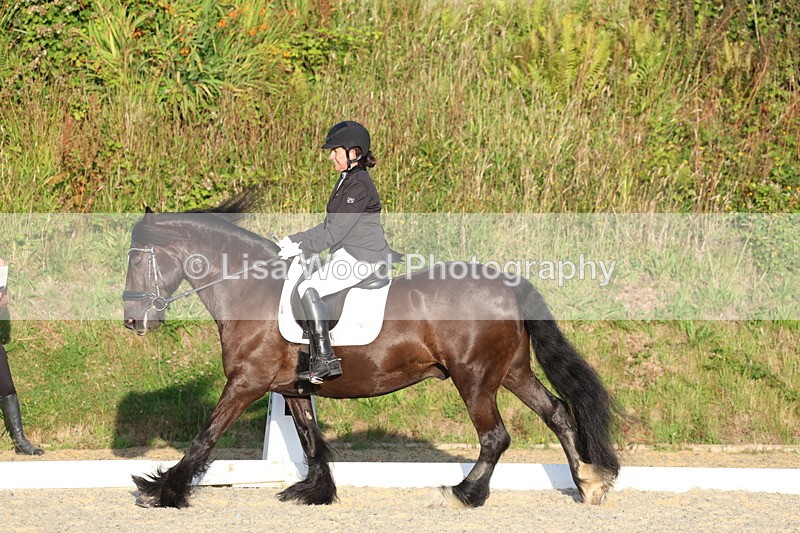 3E7A4401 - Class 5: Novice 1 2024 Section A