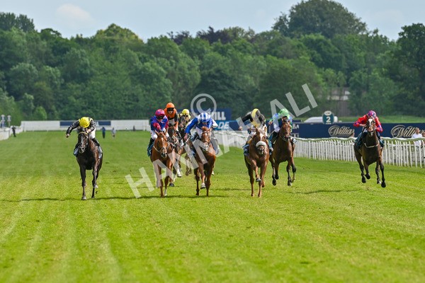 310525-Race 6-Dantes Lad-9049 - Race 6 4.25pm Royal Yorkshire Regiment Handicap