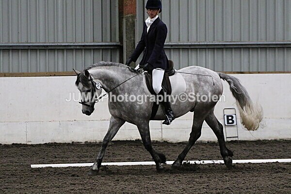 SIAL4034 - CAbin Dressage 5th july 2025