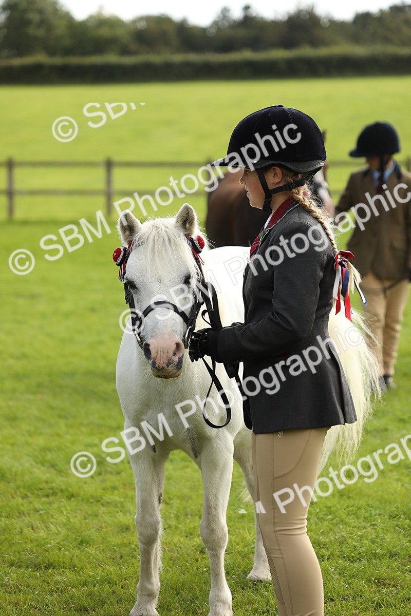 SBM_68710 - S40 - Junior Handler 9-12 Years