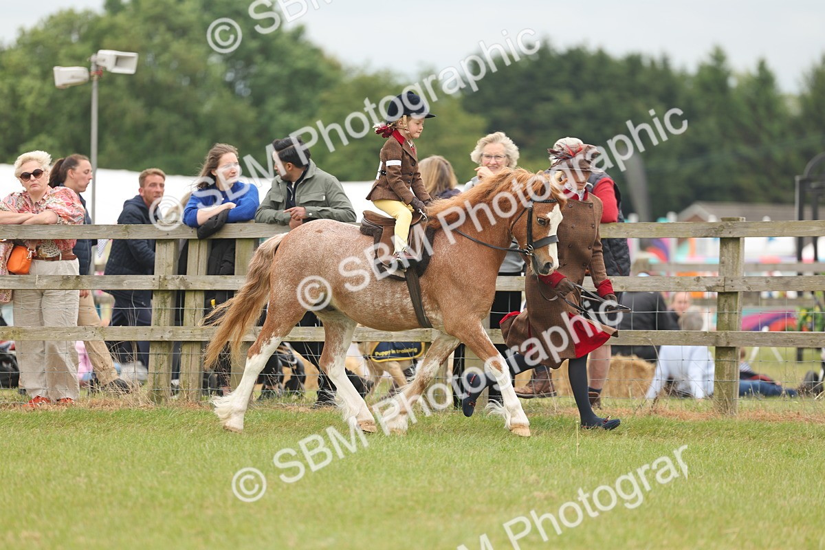 SBM_06726 - Class 74-75 - M&M Lead Rein and First Ridden Pony