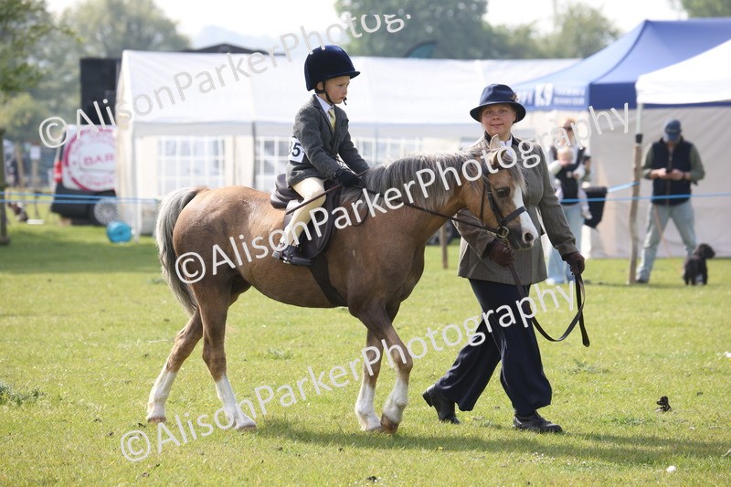 20260426-0417 - Class 30 - Tiny Tots Lead Rein