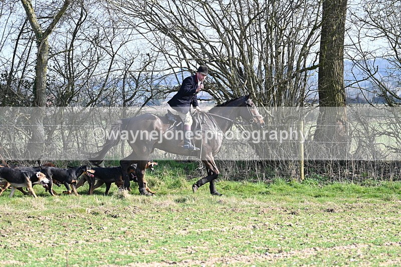 WJ7_5753 - Camera A