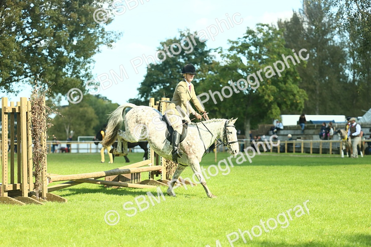 SBM_39244 - S29 - Novice & Newcomers Working Hunter Pony
