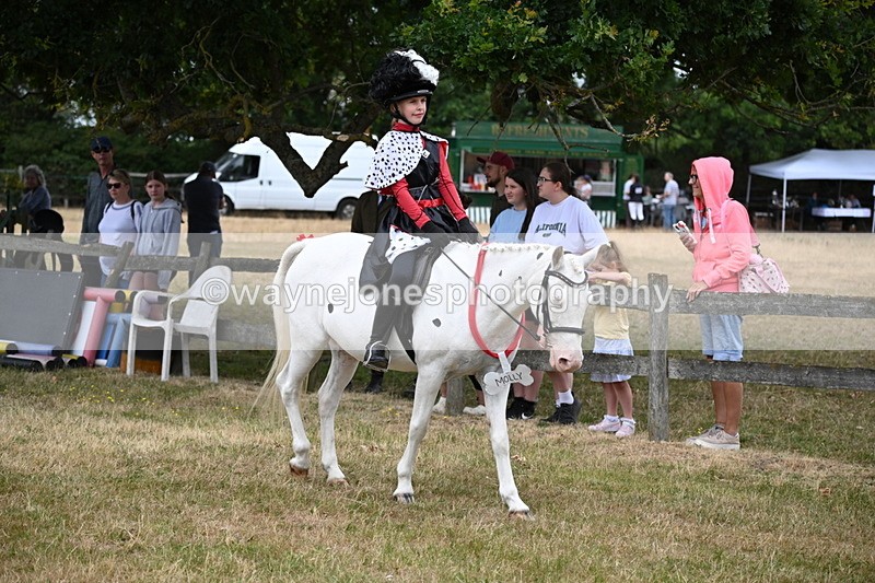WJ6_4615 - Class 11 Fancy Dress