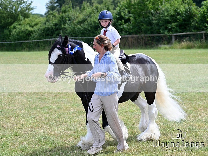 WJ7_8319 - Nancy And Churchill SORC summer show 21-06-26