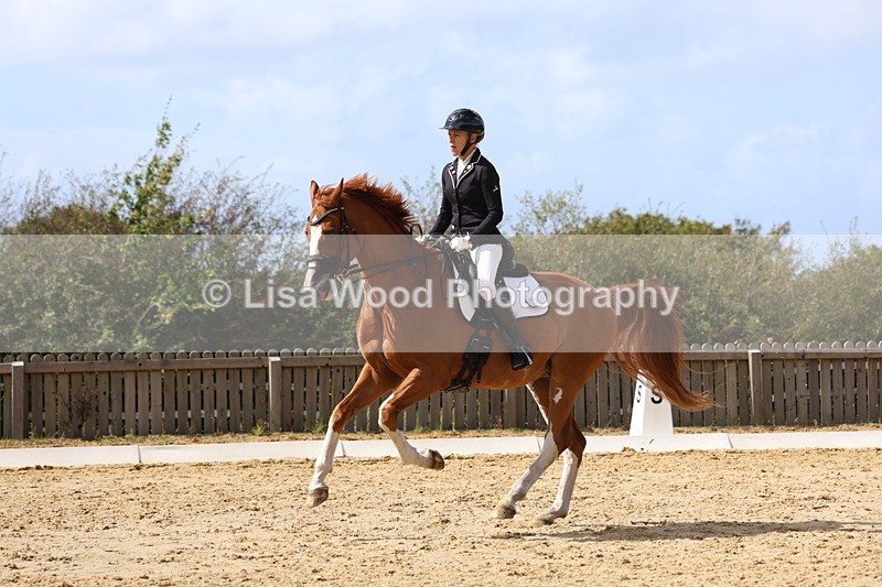 3E7A4835 - Class 11: Elementary Music