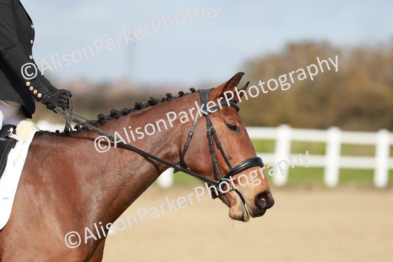 20260314-1150 - DR2 - Intro 3