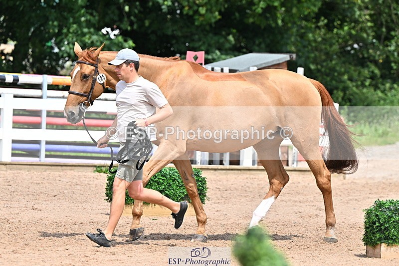 240718A-105319-01853 - Trot Up 1pm to 2pm