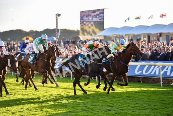 yr08102022r7-41 - Race 7 5.00pm The Coral Gets You Closer To The Action Stakes