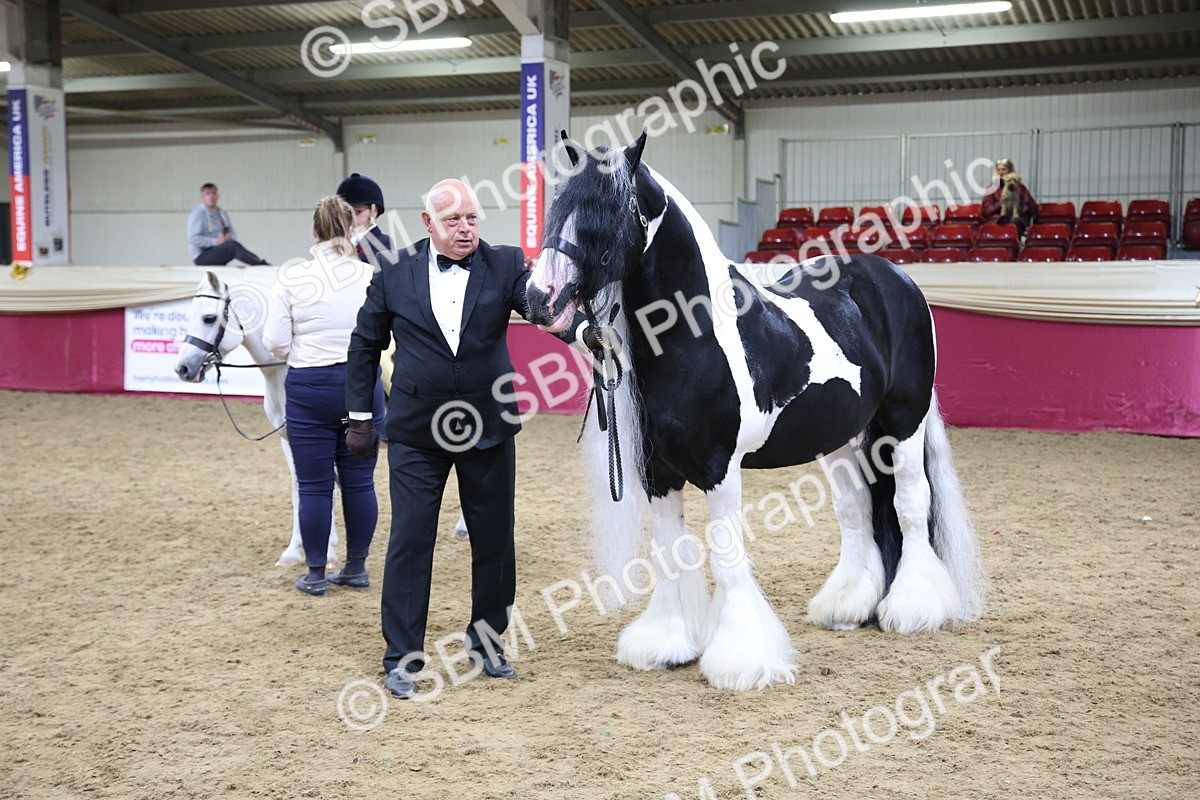 SBM_18619 - Class C Best Turned Out Champ