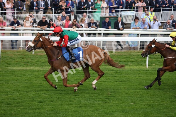 yr10062022r5-25 - Race 5 4.05pm Irish Thoroughbred Marketing Stakes