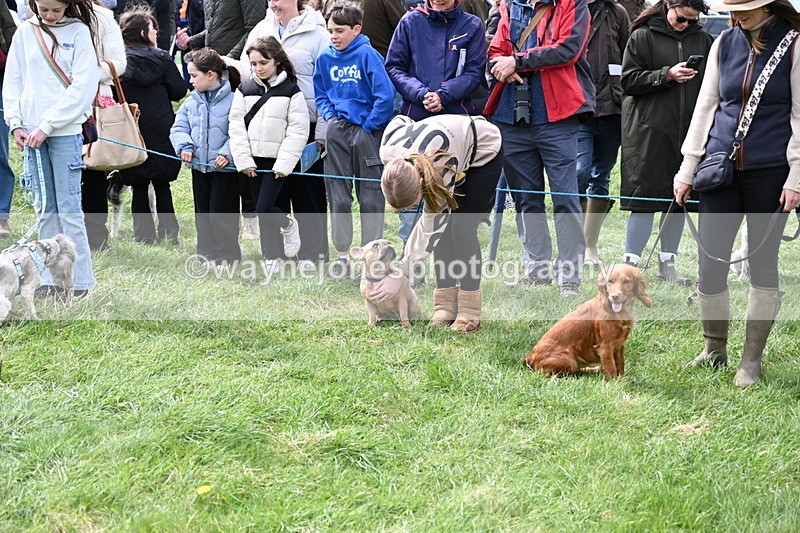 WJ6_8203 - Class 4 Prettiest Bitch