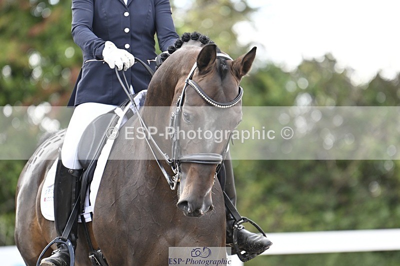 250907-165207-10793 - 113-Nicole.JahanshahiVirtual.Attraction