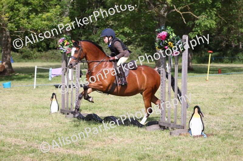 20260614-0483 - Class 20 - Beginners Working Hunter Pony