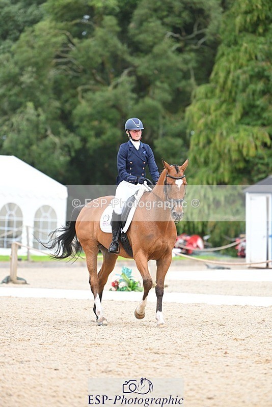 230813-133255-07592 - Cls 13 Medium Bronze 13.15 to End